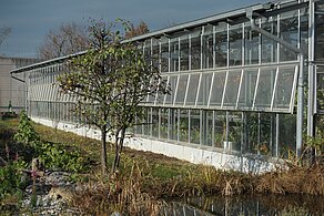 Gewächshaus der Gärtnerei Gewächshaus der Gärtnerei