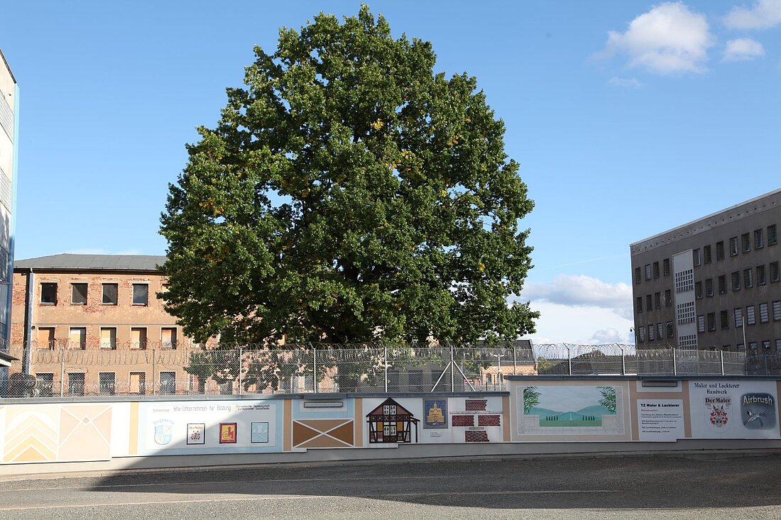 Hof Hof mit künsterlisch gestalteter Mauer. Im Hintergrund großgewachsener Baum und altes Hafthaus.