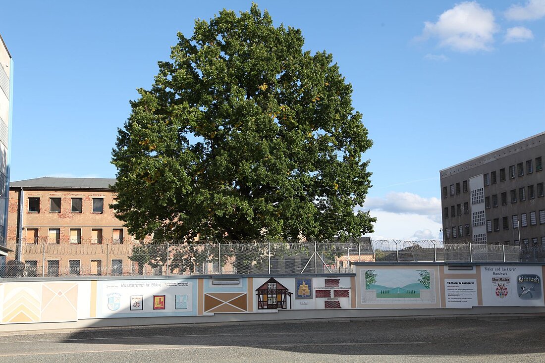 Hof mit künsterlisch gestalteter Mauer. Im Hintergrund großgewachsener Baum und altes Hafthaus.