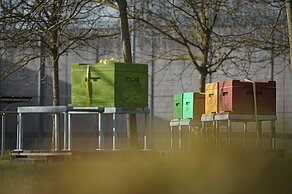 Bienenkästen